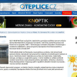 Greinar í dagblöðum