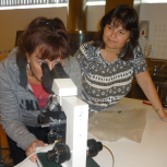 Kynning á Tékklandi